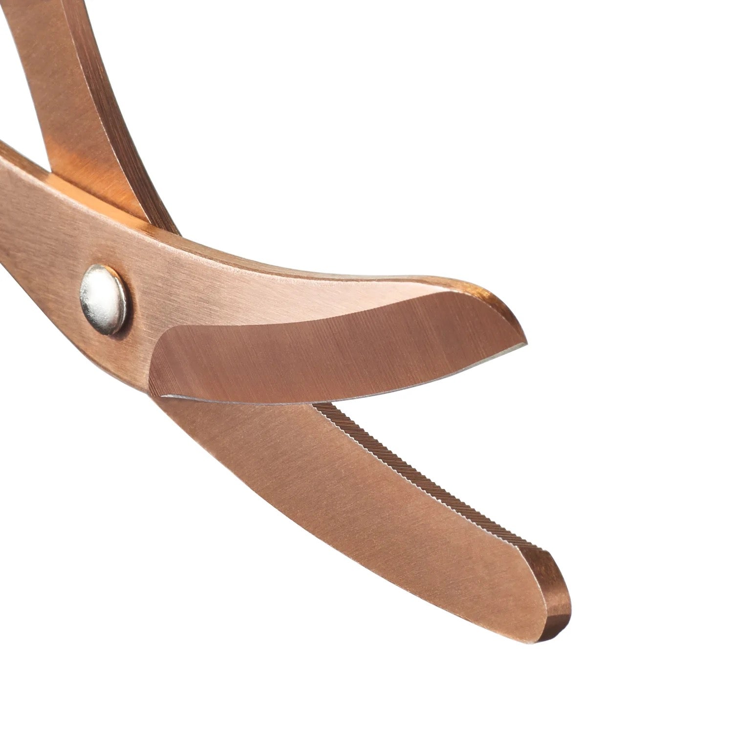 XShear 6" Mini Trauma & Nurse Shear
